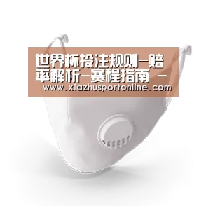 N95 口罩