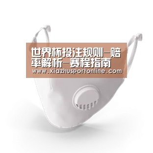 N95 口罩