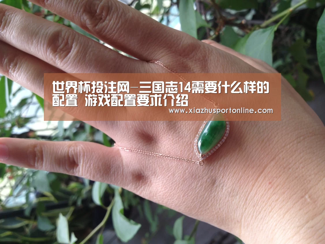 世界杯投注网-三国志14需要什么样的配置 游戏配置要求介绍(图3) 世界杯下注官网